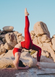 阿根廷夺冠赔率
