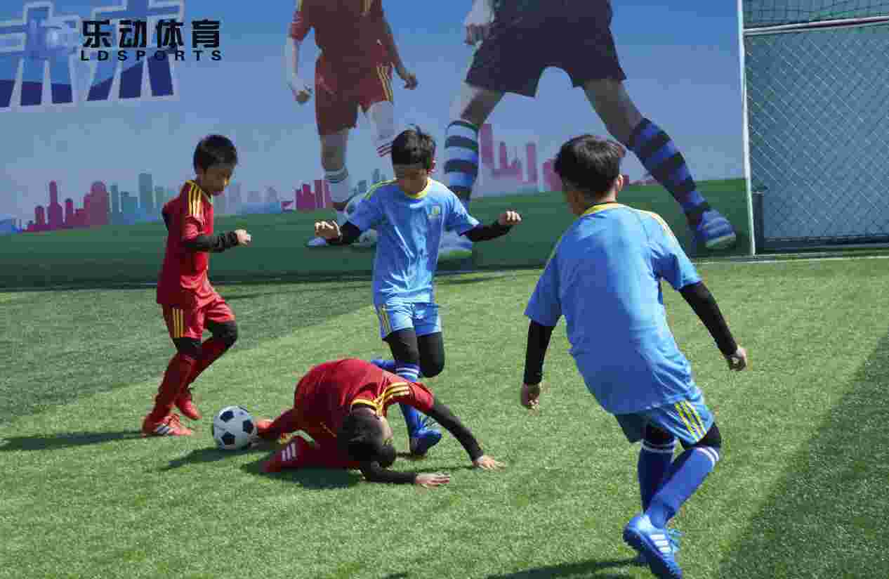 法国队伤病